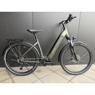 PELLS Thorr City Pine Green