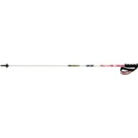 ATOMIC REDSTER CARBON COMPOSITE, model 2014/2015