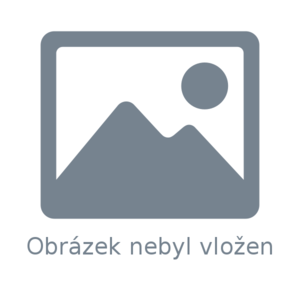 Proč mít u sebe lavinový vyhledávač? Proč mít u sebe lavinový vyhledávač?