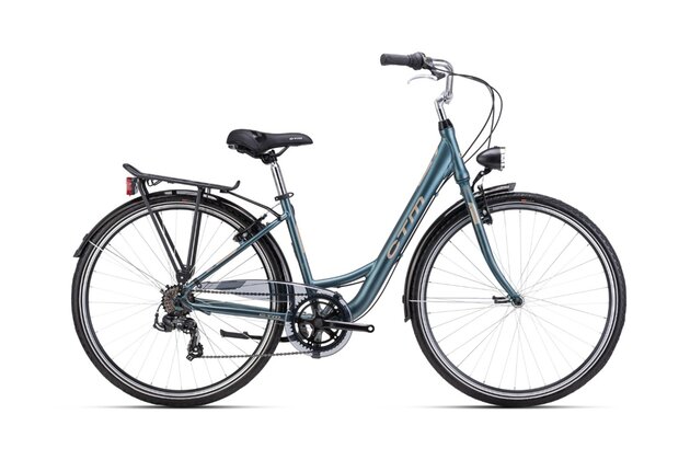 CTM Nancy Matte Gray Green/Light Gold