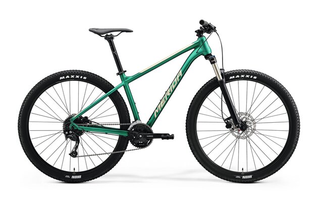 MERIDA Big.Nine 100-2X Matt Evergreen (Champagne)