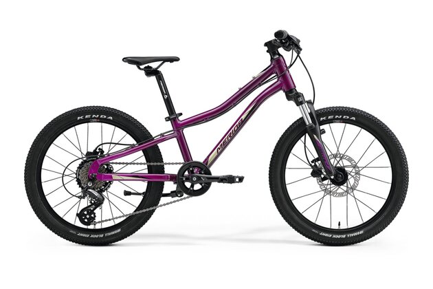 MERIDA Matts J.20 Purple (Black/Champagne)