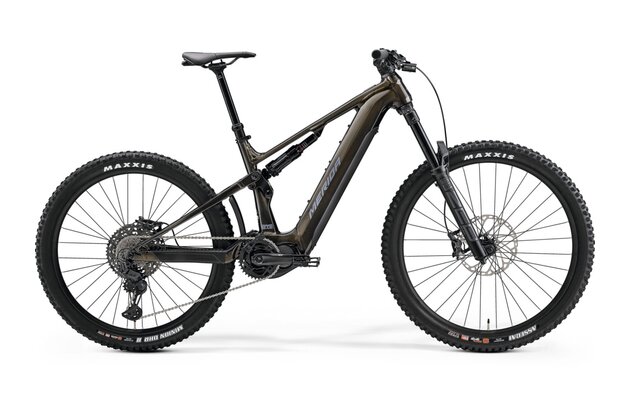 MERIDA eONE-SIXTY 875 Guarded Gold (Grey)