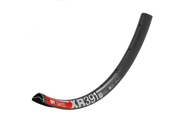 Ráfek DT SWISS XR 391 29"
