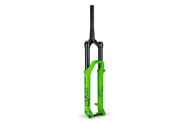 Vidlice DVO Diamond D1 29 Boost 160mm Green