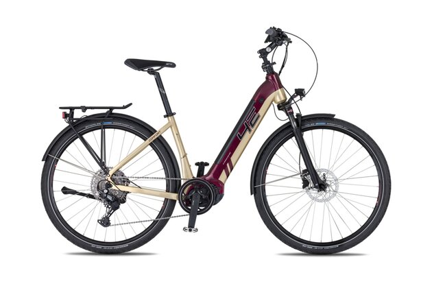 4EVER Comfort Sport Trek 720 Dark/Wine