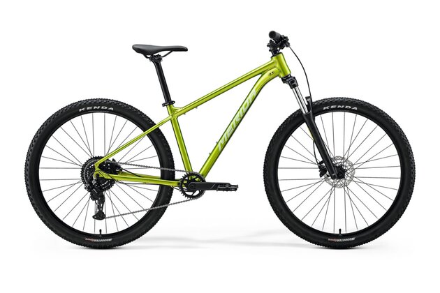 MERIDA Big.Nine 20 Fall Green (Silvergreen)