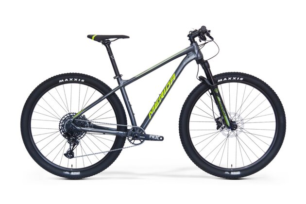 MERIDA Big.Nine NX Edition Dark Silver (Green/Silver)