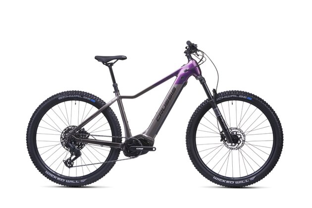 CRUSSIS e-Fionna 10.11 894 Wh