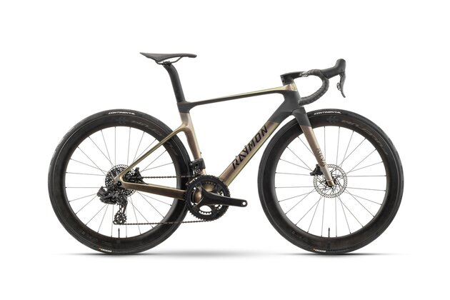 RAYMON Arva Elite Multi Gold/Carbon