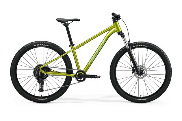 MERIDA Big.Seven 20 Fall Green (Silvergreen)