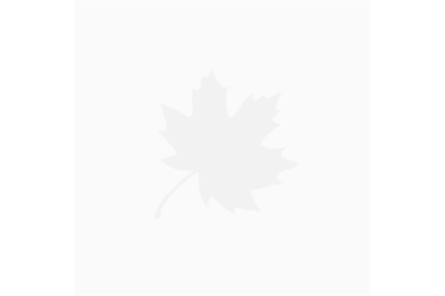 NORCO Novatec D462Sb Fh Body & Axle 916001-012