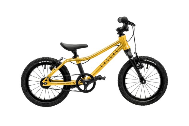 RASCAL 14 Gold