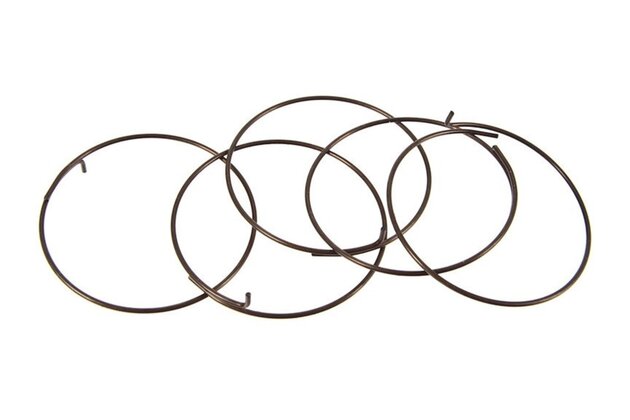 Náhradní díly FULCRUM pawl spring (5 pcs.)