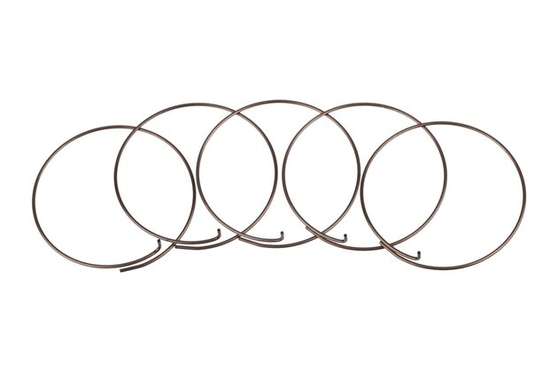 Náhradní díly FULCRUM Spring for pawl FW body MTB (5pcs)
