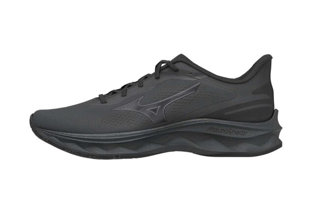 Běžecké boty MIZUNO Wave Serene 2 Gtx(M)