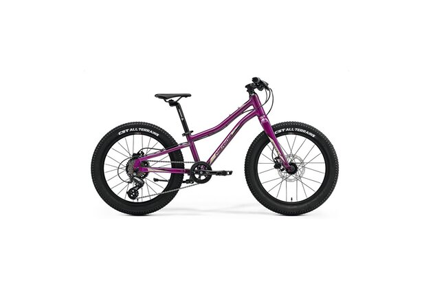 MERIDA Matts J.20+ Purple (Black/Champagne)
