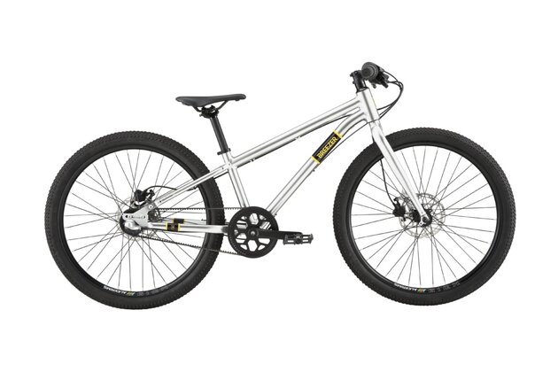 BREEZER Beltway 24 Silver