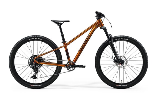 MERIDA Matts J.Champion Wild Honey (Black)