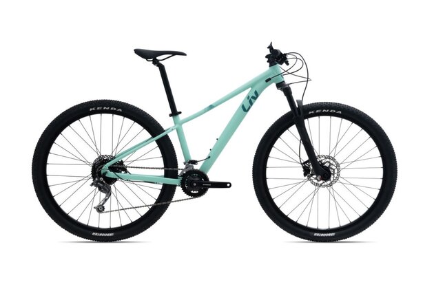LIV Tempt 29 2 GE Ocean Wave