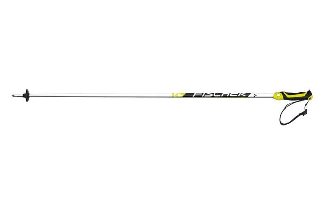 Sjezdové hole FISCHER RC4 SUPERIOR PRO, model 2014/2015