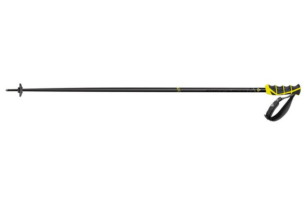 Sjezdové hole FISCHER RC4 WC SC, model 2015/16