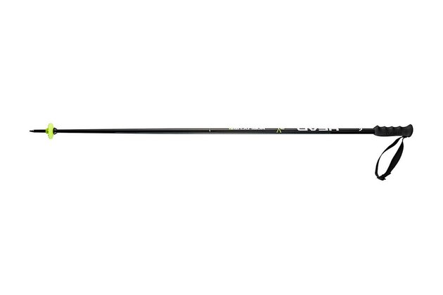Sjezdové hole HEAD WC SL, model 2015/16