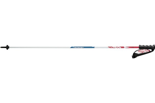 Sjezdové hole ATOMIC REDSTER CARBON COMPOSITE, model 2016/17