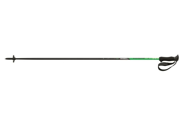 Sjezdové hole ELAN AMPHIBIO GREEN, model 2016/17