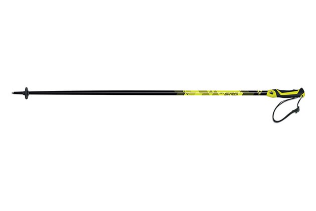 Sjezdové hole FISCHER RC4 PRO, model 2016/17