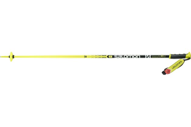 Sjezdové hole SALOMON ARCTIC S3, model 2016/17